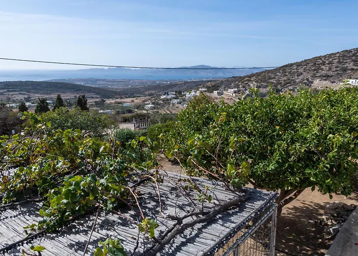 The Eagle's Nest House Kamari (Paros)